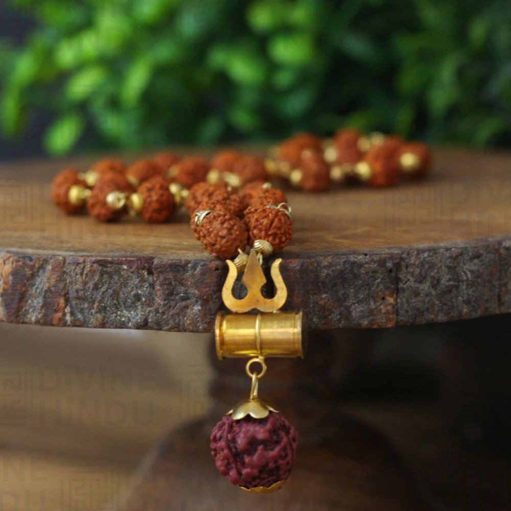 Rudraksha