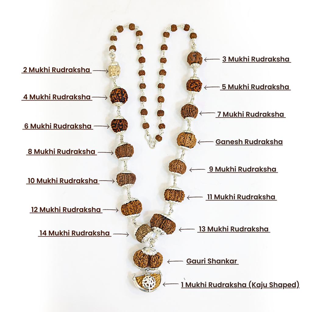 1–14 Mukhi Rudraksha Mala – Nepal Origin | With Ganesh Mukhi & Gaurishankar