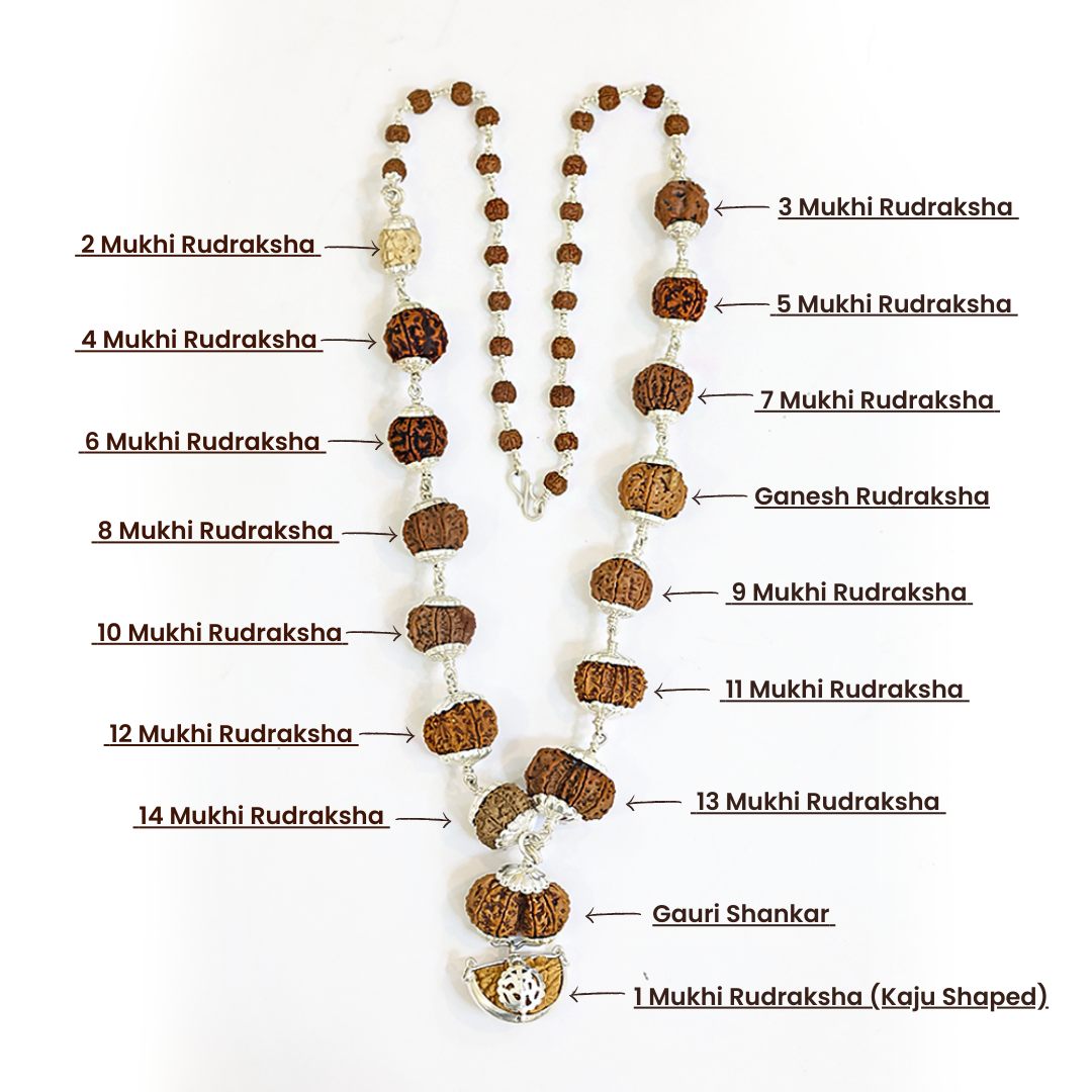 1–14 Mukhi Rudraksha Mala – Nepal Origin | With Ganesh Mukhi & Gaurishankar