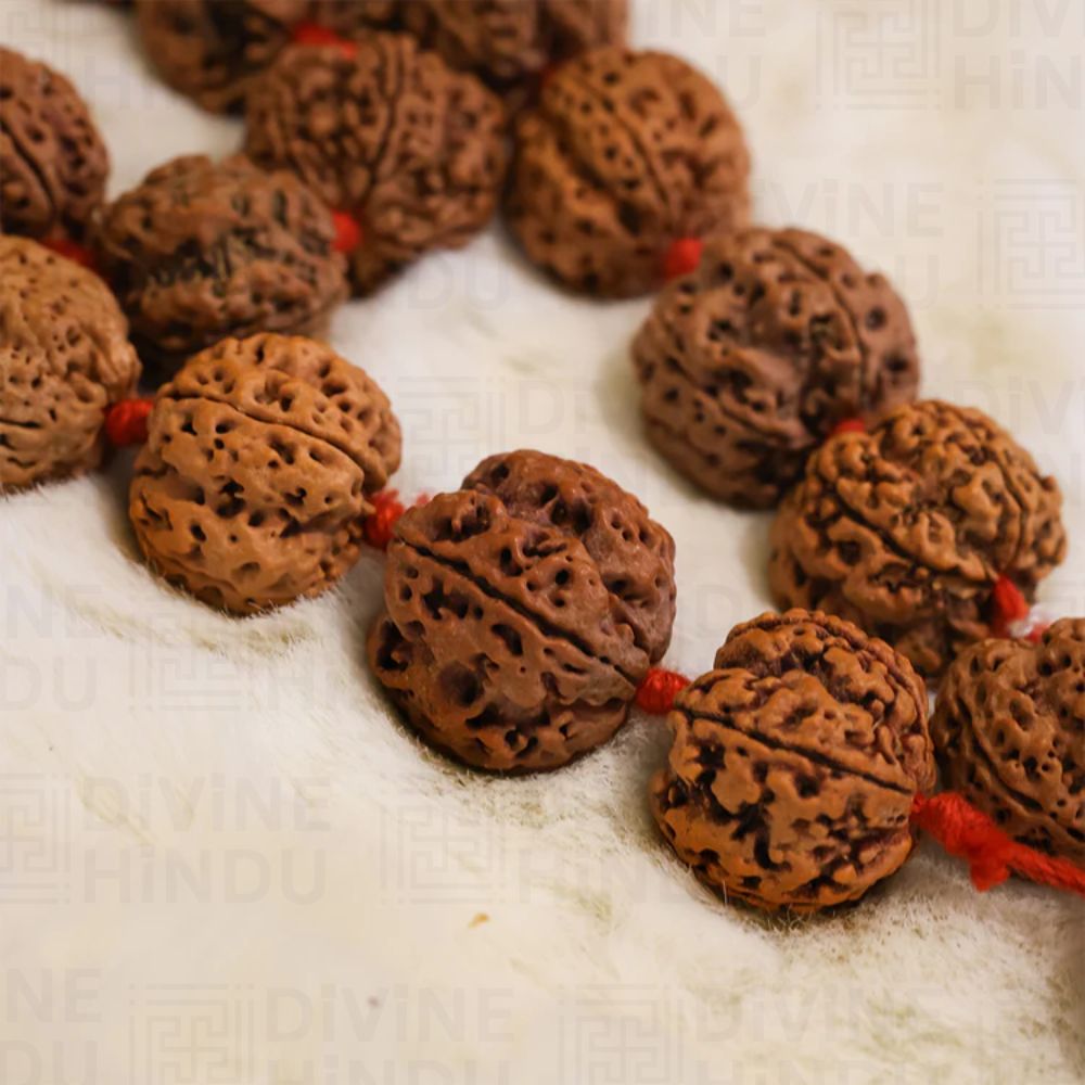 5 Mukhi Nepali Rudraksha Mala – 54+1 Beads