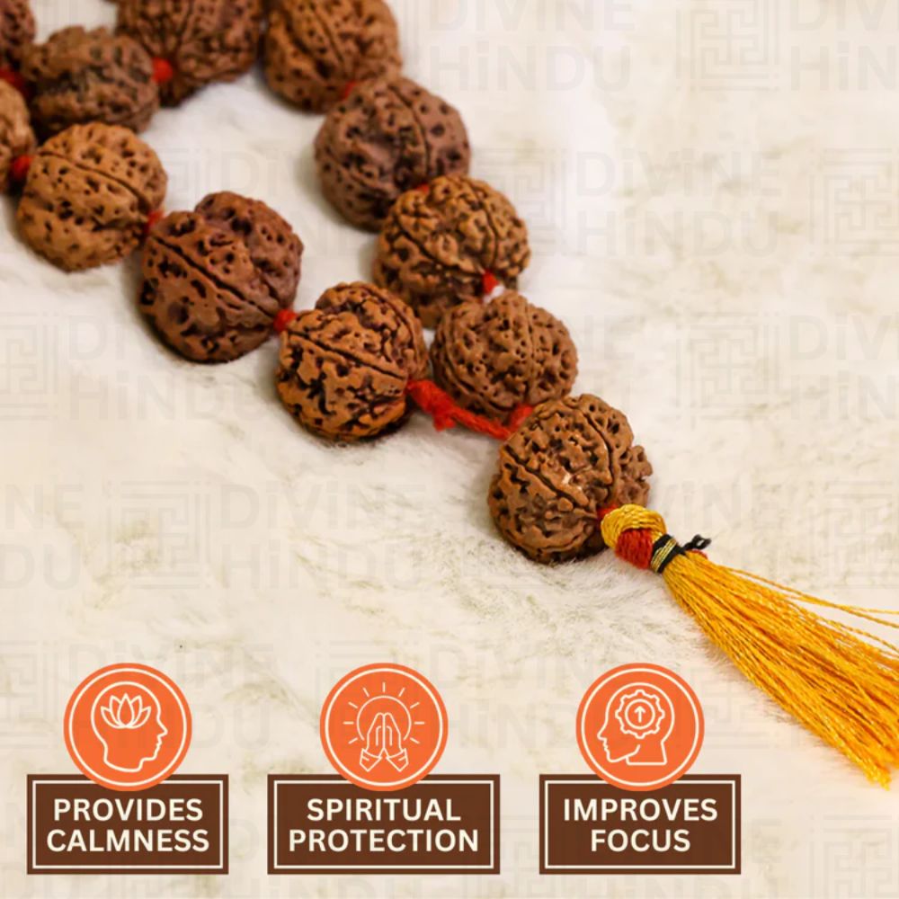 5 Mukhi Nepali Rudraksha Mala – 54+1 Beads