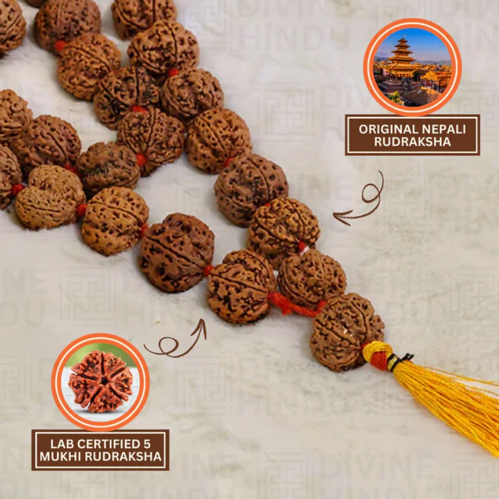 5 Mukhi Nepali Rudraksha Mala – 54+1 Beads