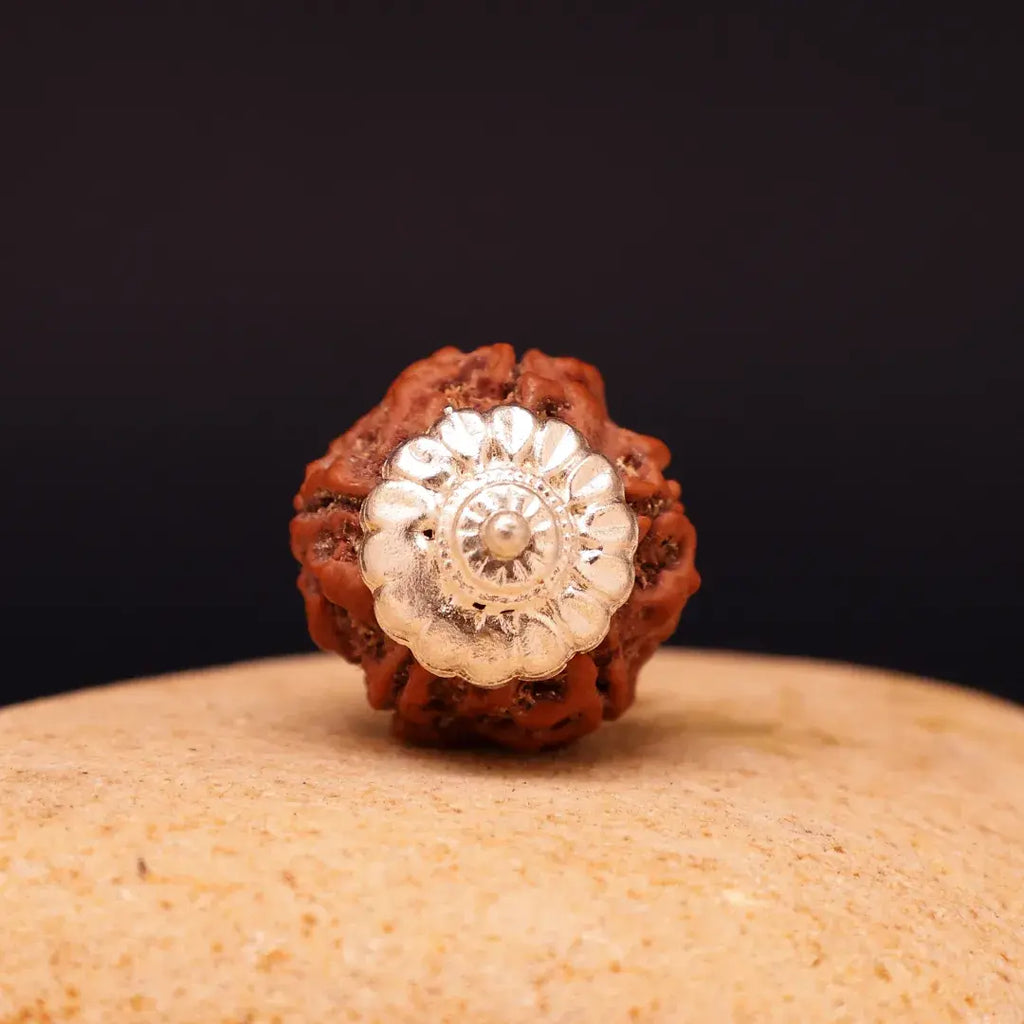 5 Mukhi Lab Tested Certified Nepali Rudraksha