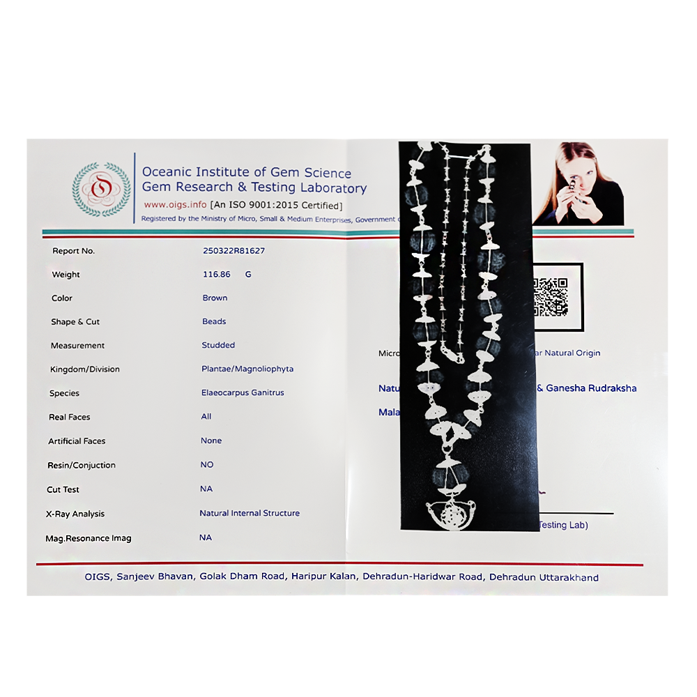 1–14 Mukhi Rudraksha Mala – Nepal Origin | With Ganesh Mukhi & Gaurishankar