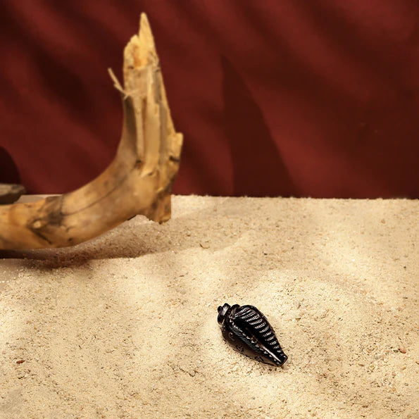 Divine Crystals Karungali Shankh For Pooja