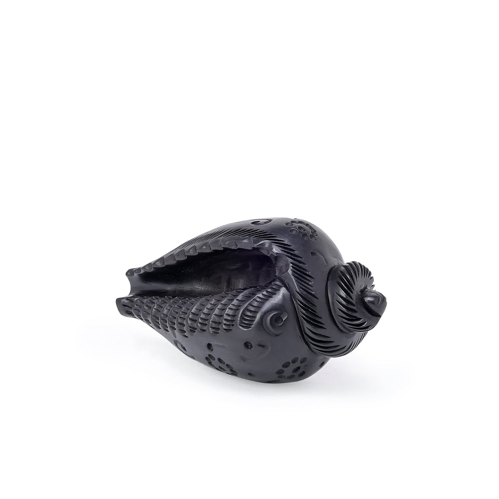 Divine Crystals Karungali Shankh For Pooja