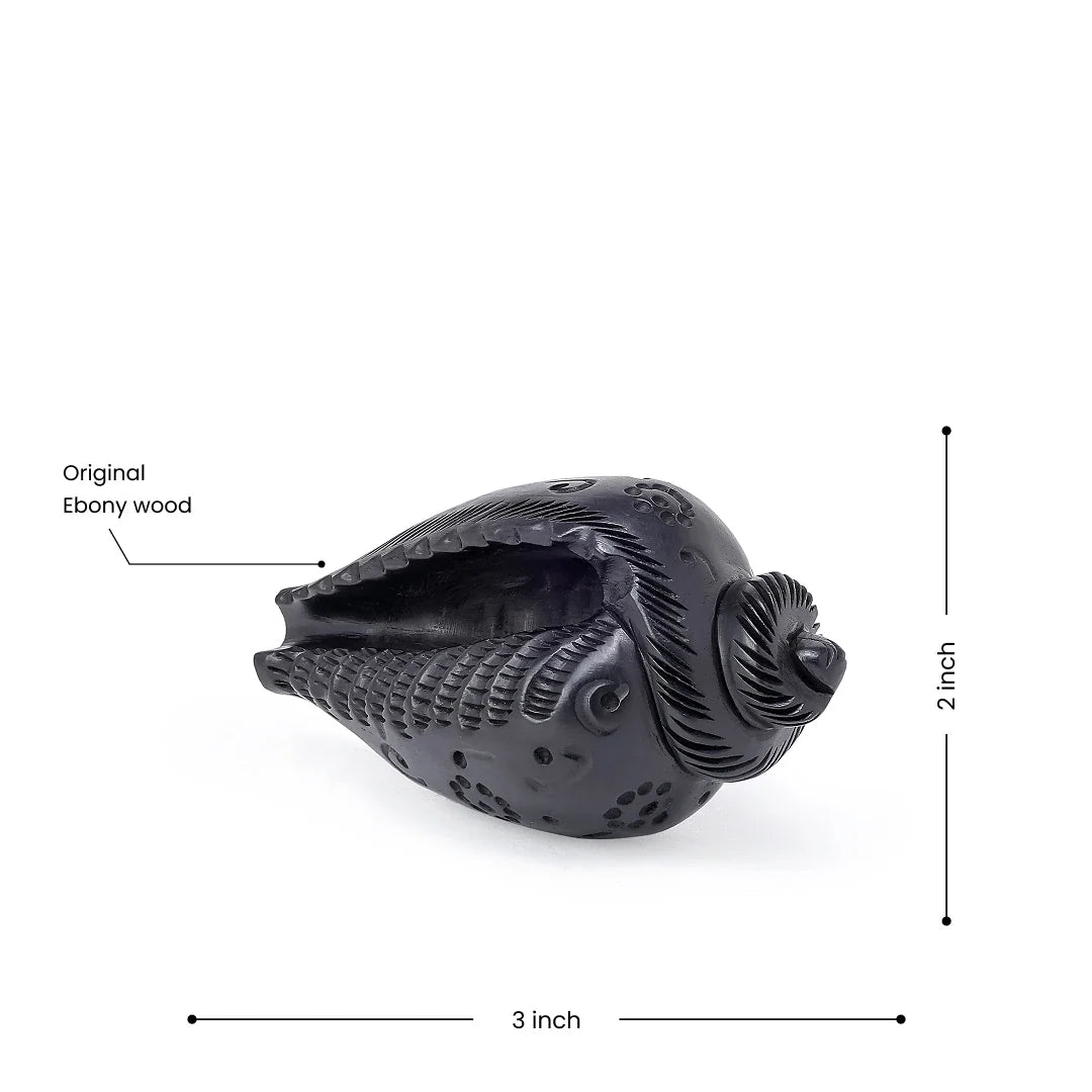 Shankha (conch shell) in black finish, 3 inches wide, made from original Ebony wood