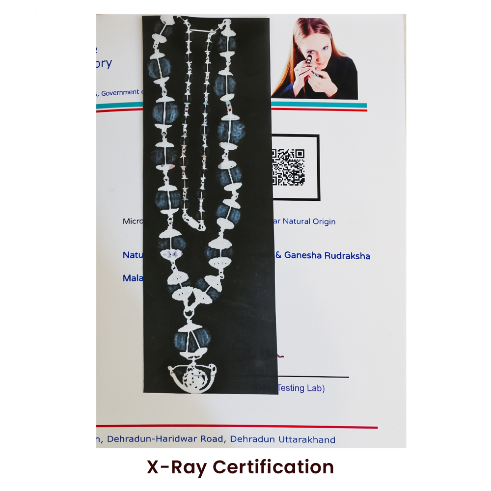 1–14 Mukhi Rudraksha Mala – Nepal Origin | With Ganesh Mukhi & Gaurishankar